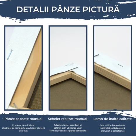 Panza-pe-sasiu1 Panza-pe-sasiu1