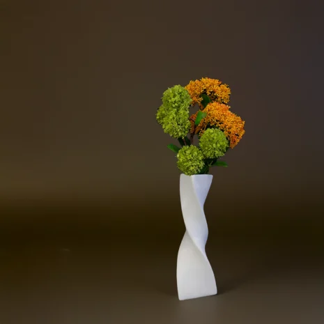 aramjament-aurora aramjament-aurora