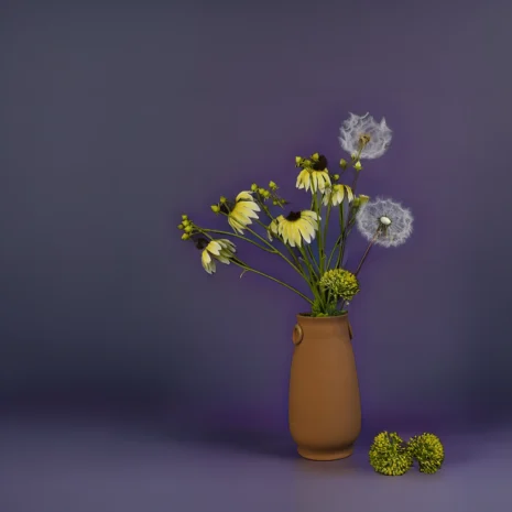 aranjament-clytie-d11 aranjament-clytie-d