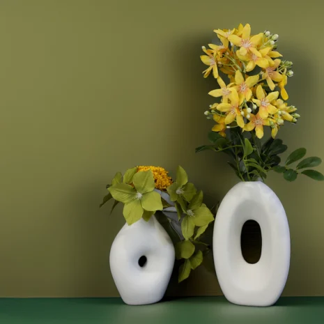 aranjament-iza6 aranjament-iza6