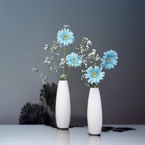 aranjament-nike aranjament-nike