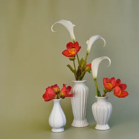 aranjament-rhea2 aranjament-rhea2