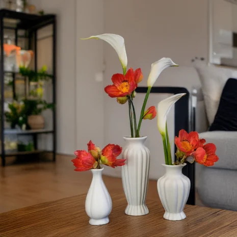 aranjament-rhea4 aranjament-rhea4