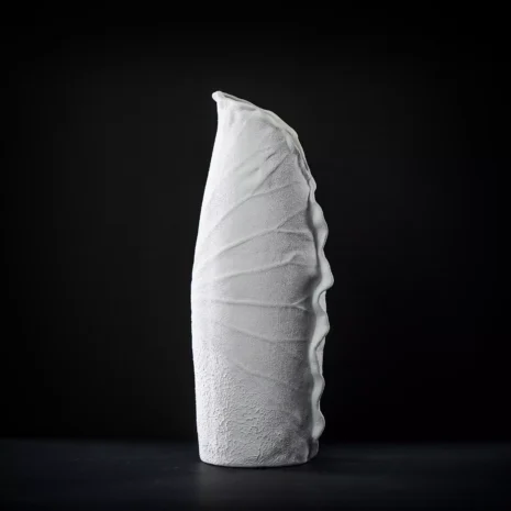 vaza-nyx-xl2 vaza-nyx-xl2