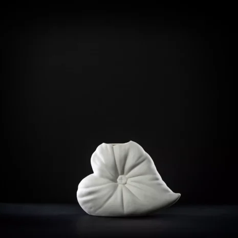 vaza-selene vaza-selene